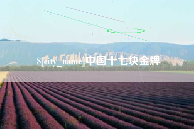 福安中国十七块金牌