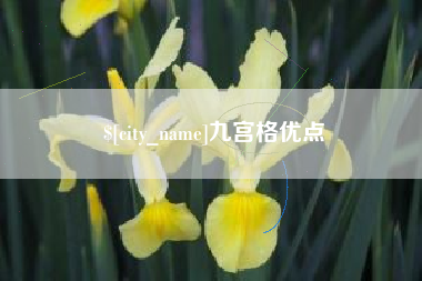 福安九宫格优点