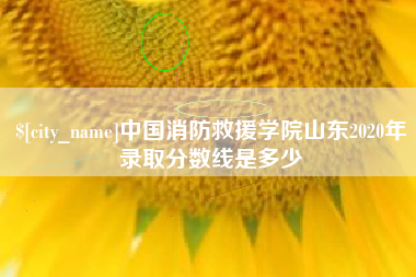 福安中国消防救援学院山东2020年录取分数线是多少