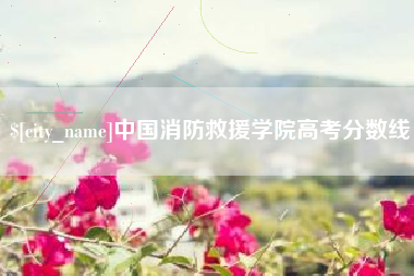 福安中国消防救援学院高考分数线