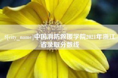 福安中国消防救援学院2021年浙江省录取分数线
