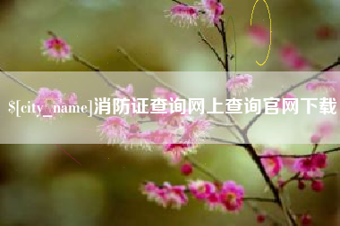 福安消防证查询网上查询官网下载