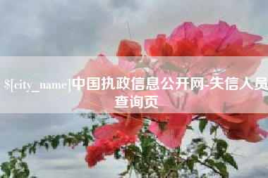 福安中国执政信息公开网-失信人员查询页