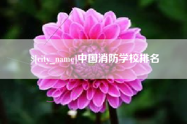 福安中国消防学校排名