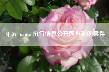福安执行信息公开网查到的案件