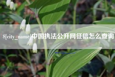 福安中国执法公开网征信怎么查询
