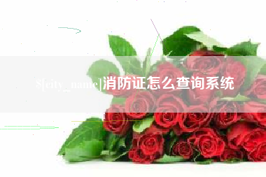 福安消防证怎么查询系统