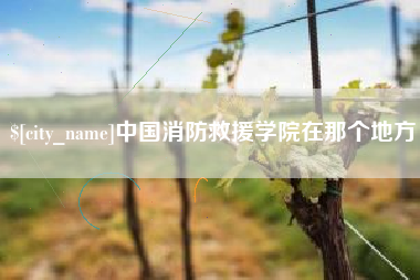 福安中国消防救援学院在那个地方