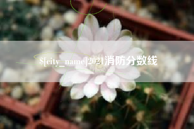 福安2021消防分数线
