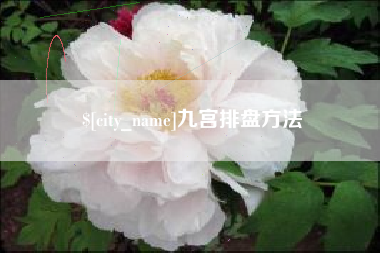 福安九宫排盘方法