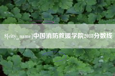 福安中国消防救援学院2018分数线