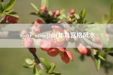 福安2021年九宫格风水