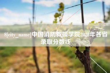 福安中国消防救援学院2020年各省录取分数线