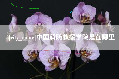 福安中国消防救援学院是在哪里