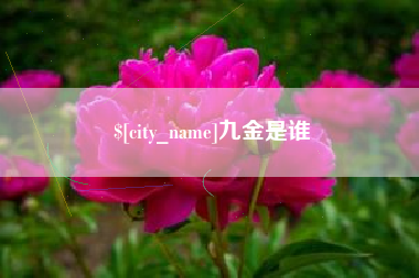 福安九金是谁