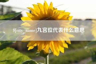 福安九宫位代表什么意思