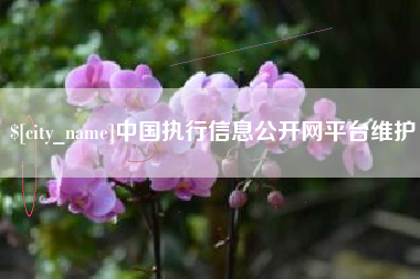 福安中国执行信息公开网平台维护