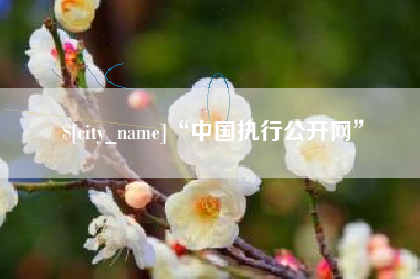 福安“中国执行公开网”