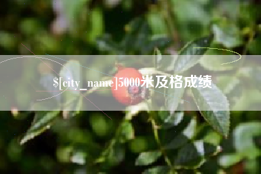 福安5000米及格成绩