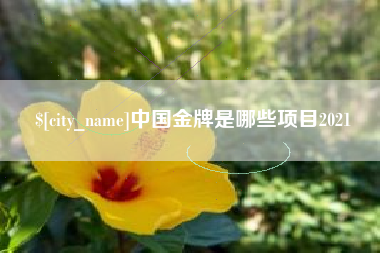 福安中国金牌是哪些项目2021