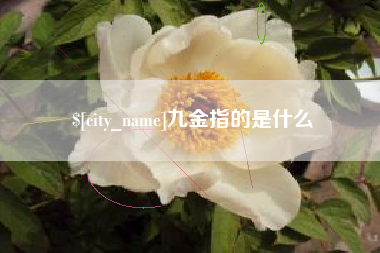 福安九金指的是什么