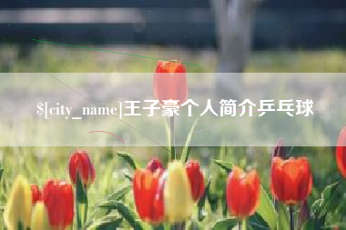 福安王子豪个人简介乒乓球