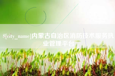 福安内蒙古自治区消防技术服务执业管理平台