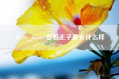 福安看看王子豪长什么样