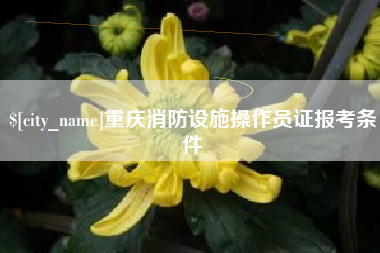 福安重庆消防设施操作员证报考条件