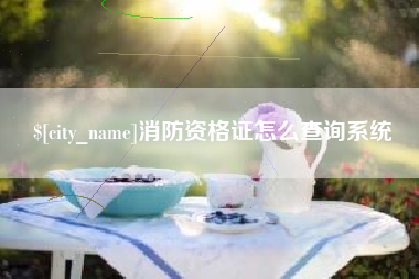 福安消防资格证怎么查询系统