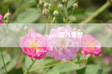 福安第九金是