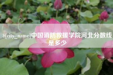 福安中国消防救援学院河北分数线是多少