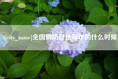 福安全国消防日是每年的什么时候