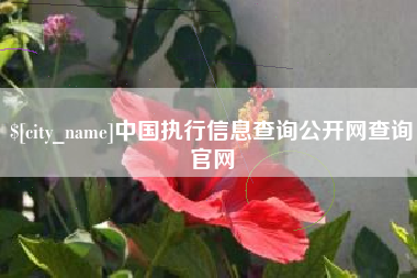 福安中国执行信息查询公开网查询官网