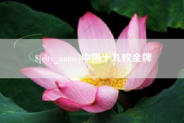 福安中国十九枚金牌