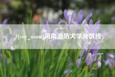 福安河南消防大学分数线