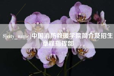 福安中国消防救援学院简介及招生章程指挥部
