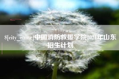 福安中国消防救援学院2021年山东招生计划