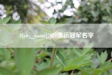 福安2024奥运冠军名字