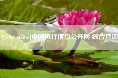 福安中国执行信息公开网 综合查询