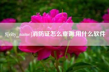 福安消防证怎么查询,用什么软件