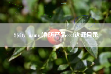 福安消防产品cccf认证目录