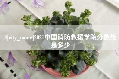 福安2021中国消防救援学院分数线是多少