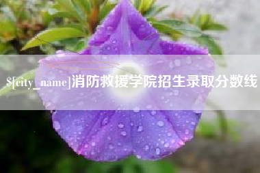 福安消防救援学院招生录取分数线