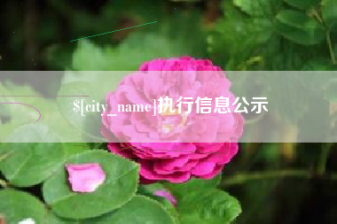 福安执行信息公示