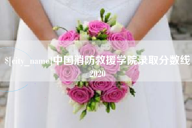 福安中国消防救援学院录取分数线2020