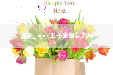 福安王子豪是怎么写
