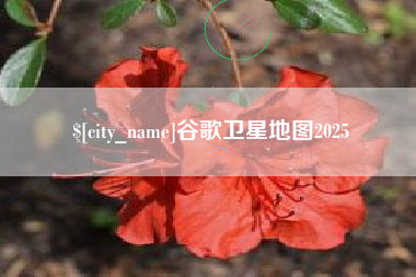 福安谷歌卫星地图2025