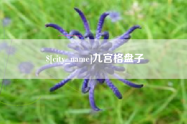 福安九宫格盘子