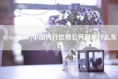 福安中国执行信息公开网是什么东西